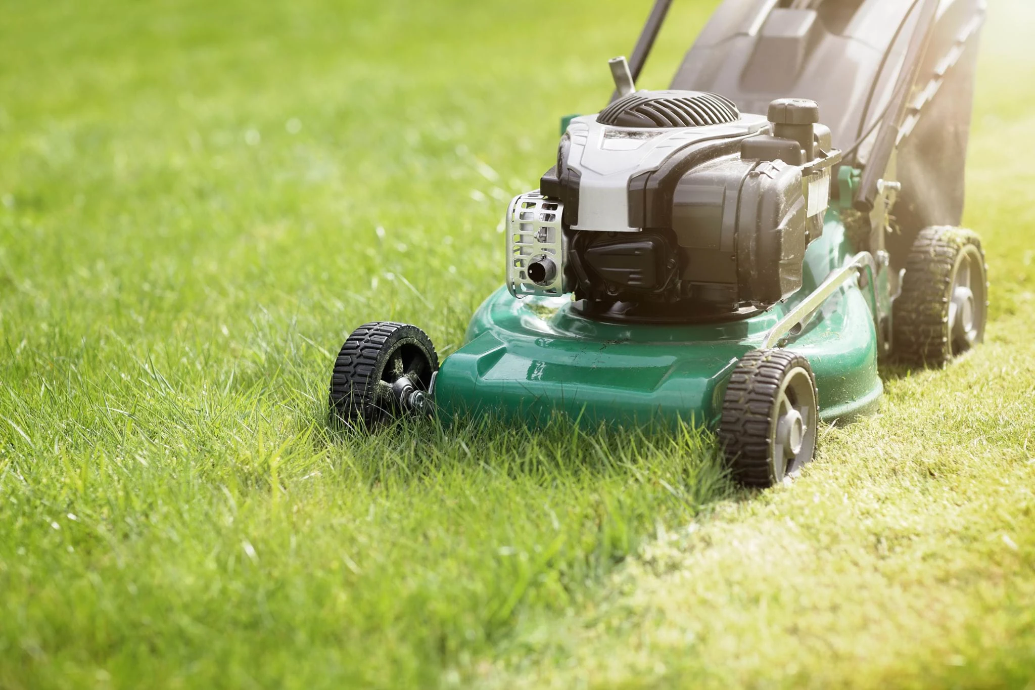 Уход за газоном - Создание и обслуживание газона